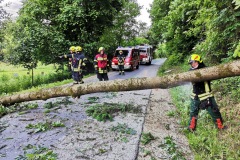 IMG_20210609_193850 IMG_20210609_193850