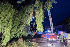 PXL_20210629_194049502.NIGHT_