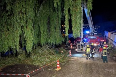 PXL_20210629_201940687