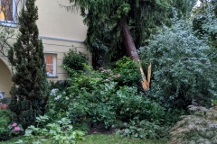 PXL_20210725_170521396.MP_