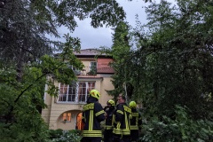 PXL_20210725_170641255