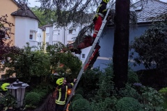 PXL_20210725_181113005