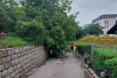 20210731_074835 20210731_074835