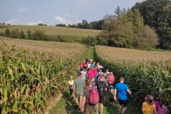 IMG_20210911_152803 IMG_20210911_152803