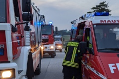 PXL_20210928_164354453