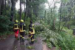 IMG-20220628-WA0000