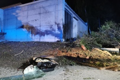 IMG_20220711_235528 IMG_20220711_235528