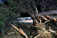 IMG_20220711_235557 IMG_20220711_235557