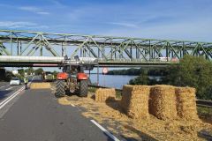 IMG_20220718_183343 IMG_20220718_183343