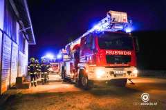 PANC-19700101020060058-005