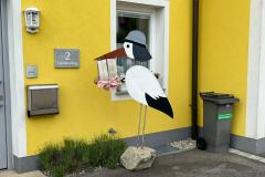 Storch_Thomas