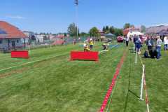 Bewerb_Ried6 Bewerb_Ried6