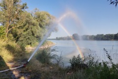 IMG_20230707_183854