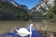 IMG_20230902_100822