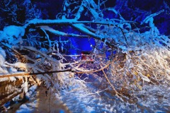 20231202_031142 20231202_031142