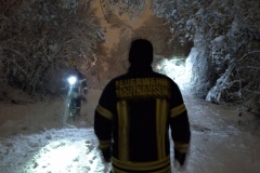 20231202_050129 20231202_050129