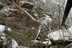 IMG_8708 IMG_8708