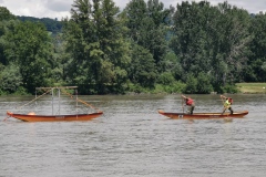 IMG_20240524_130948_1