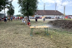 IMG_0550