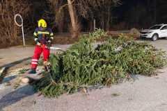 WhatsApp-Bild-2025-02-07-um-21.16.41_52e659ec