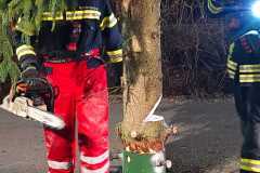 WhatsApp-Bild-2025-02-07-um-21.16.43_5d235f80