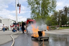 IMG_2037