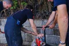IMG-20260703-WA0013