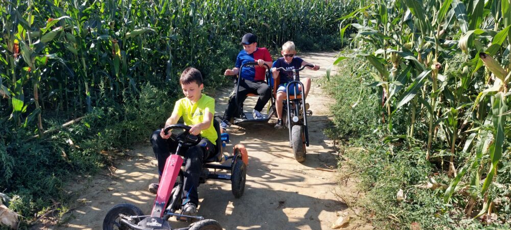Jugendstunde im Maislabyrinth